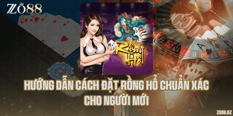 Hướng dẫn cách đặt Rồng hổ chuẩn xác cho người mới