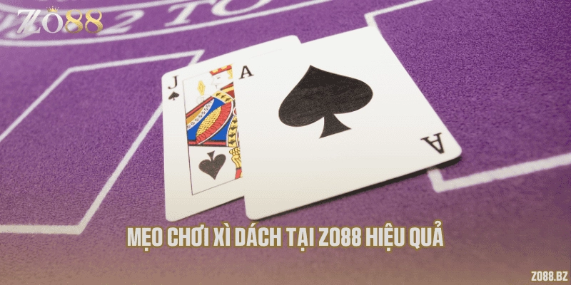 Mẹo chơi xì dách tại Zo88 hiệu quả